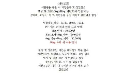 &amp;quot;고양이