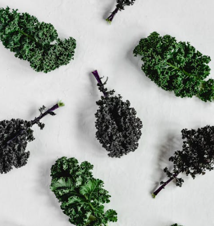 허리에 좋은 음식