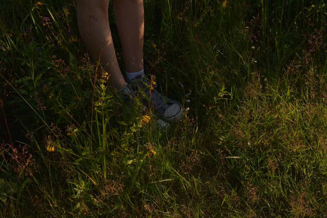 Summer.