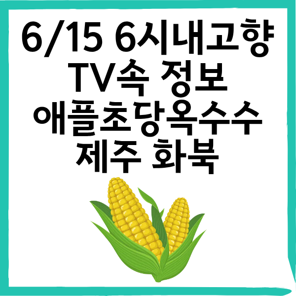 6월 15일 6시 내고향 애플초당옥수수 (제주 화북) 택배주문 방법까지 총정리