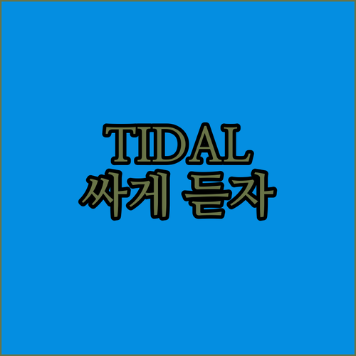 타이달 싸게 쓰는 법! VDV4S4