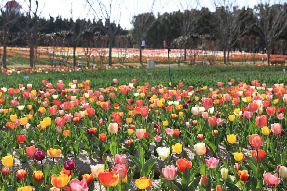 신안 가볼만한곳 베스트 10