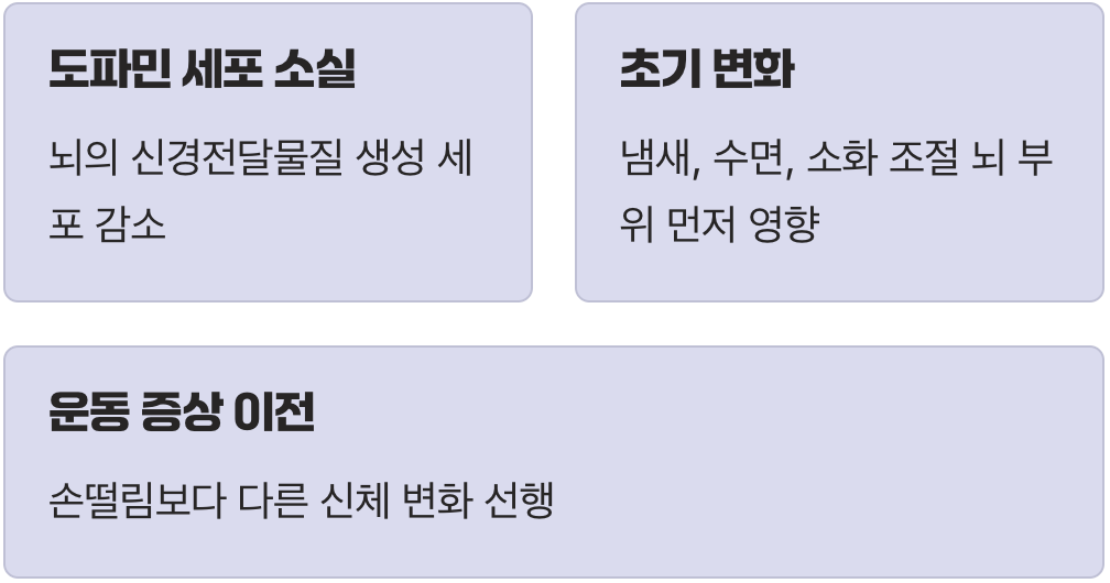 파킨슨병, 왜 떨림보다 다른 신호가 먼저 올까?
