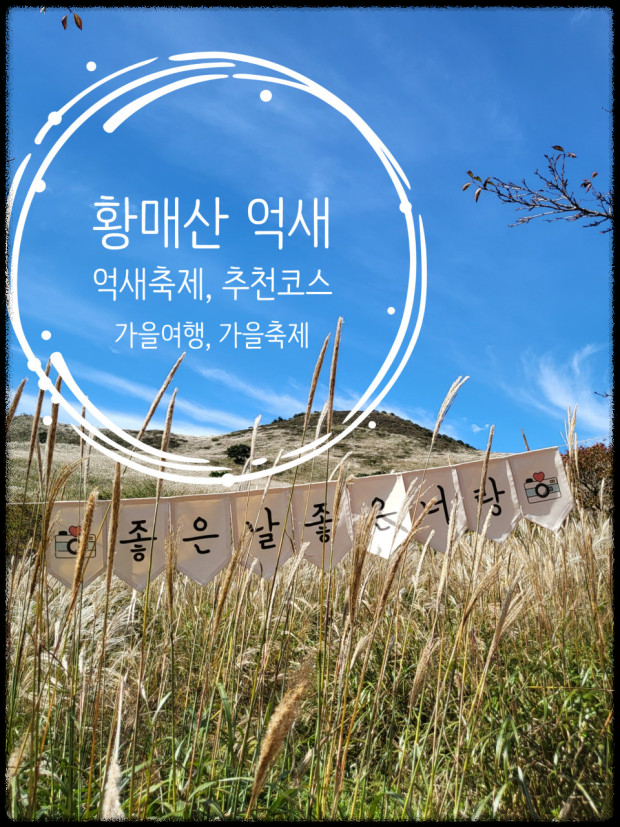 황매산 억새축제, 놓치면 후회할 필수 정보!