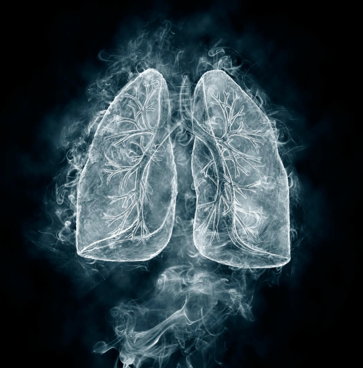 결핵에-감염된-폐