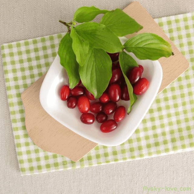 산수유 먹는방법