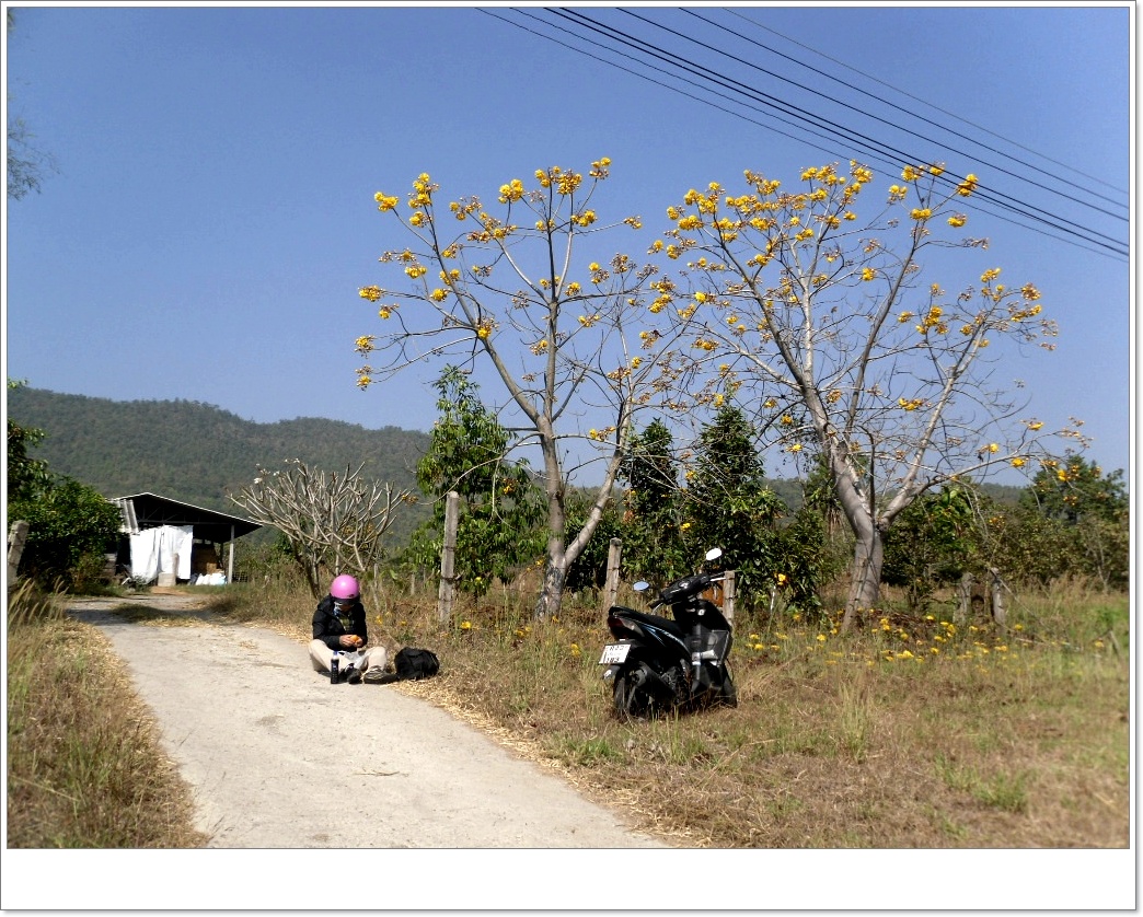 산깜펭 온천 가는길