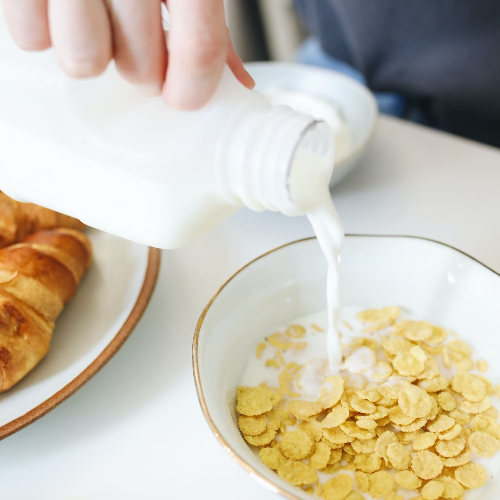 산양유 단백질 분말 섭취방법