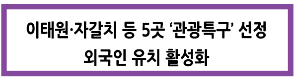 Alt 속성 문제 해결 설명 이미지