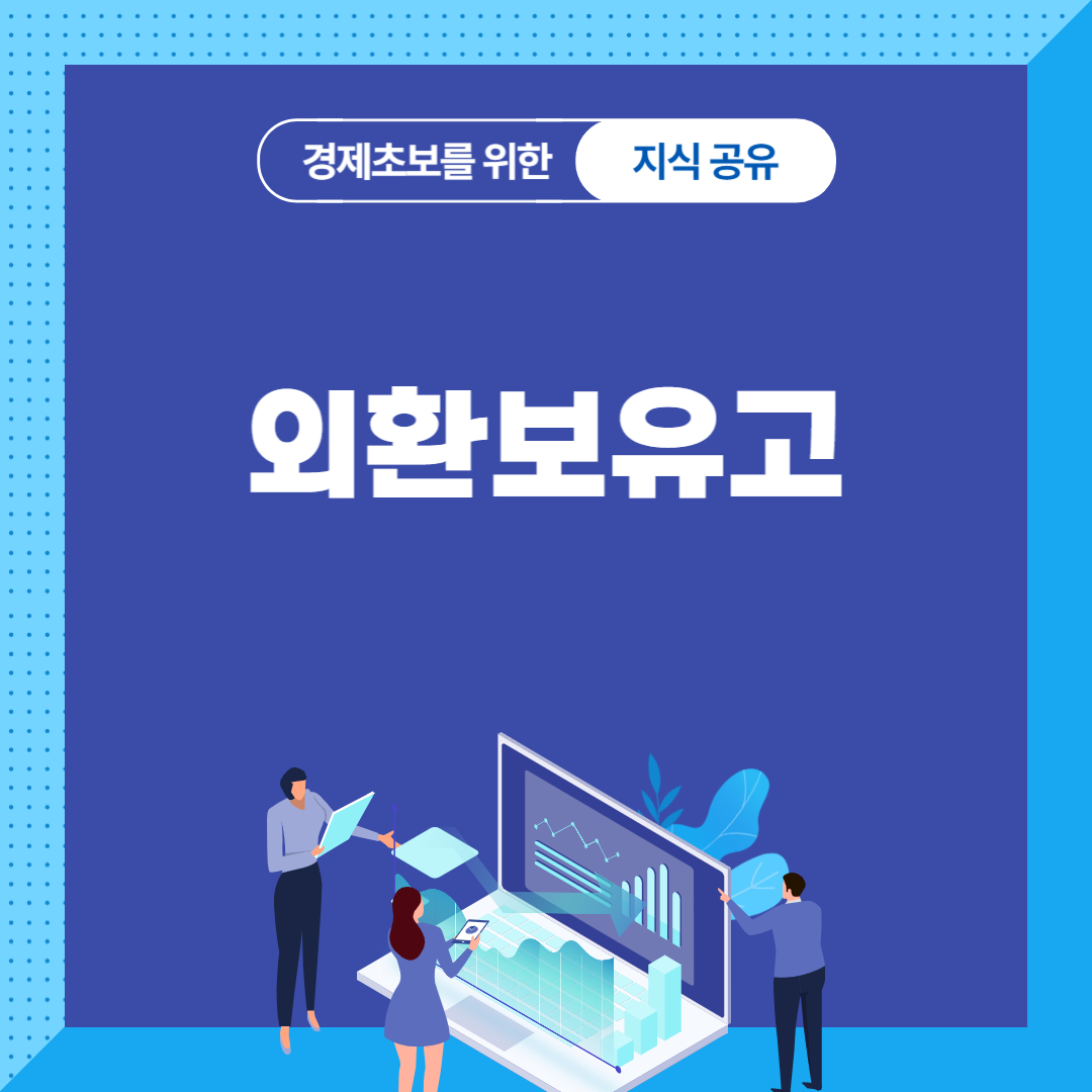 외환보유고의 뜻과 현황