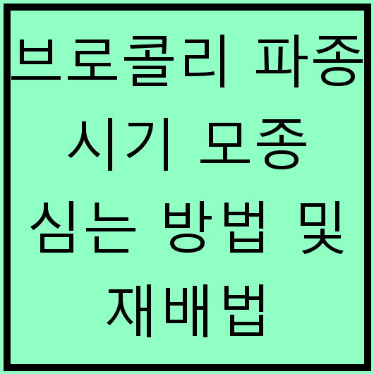 브로콜리 파종 시기 모종 심는 방법 및 재배법