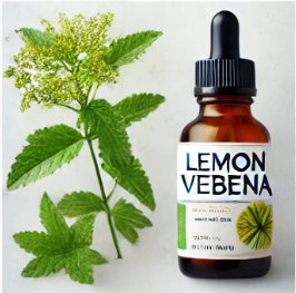 레몬버베나 다이어트