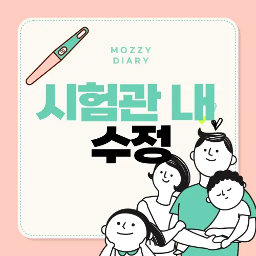 시험관 아기 시술, 어떻게 시작할까? 워킹맘을 위한 실전 준비법