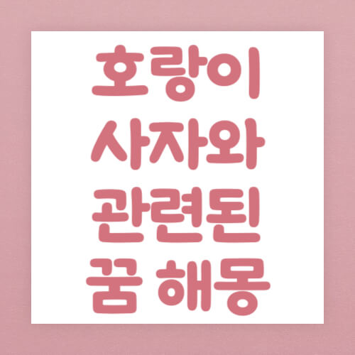 호랑이 사자와 관련된 꿈 해몽 썸네일