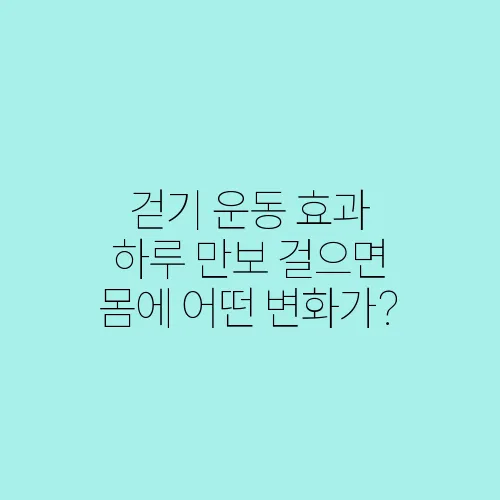 걷기 운동 효과 하루 만보 걸으면 몸에 어떤 변화가?