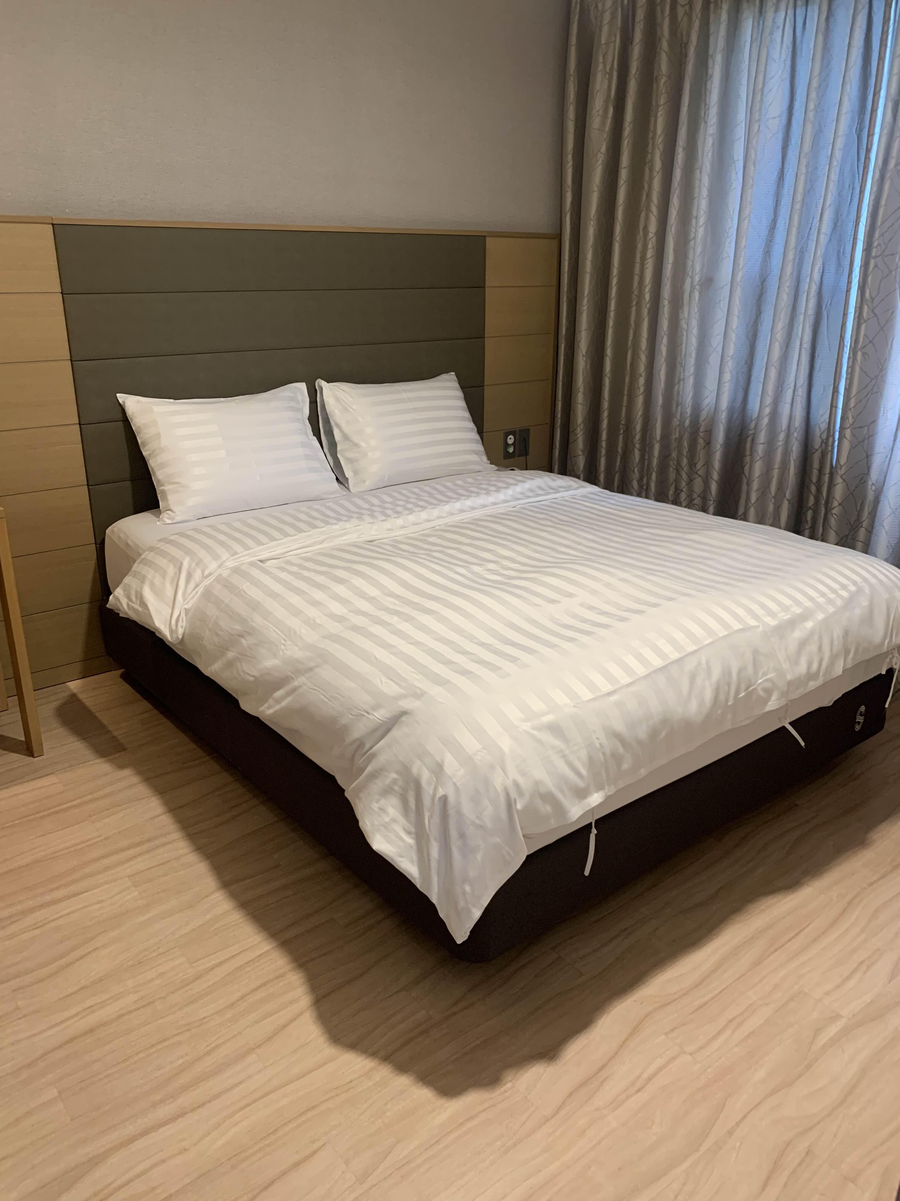 쏠비치 삼척 스위트 취사