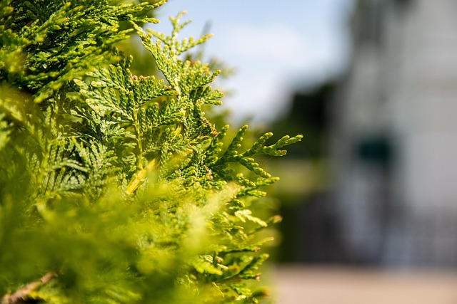 헬스장 등록 전에 꼭 따져야 할 비용
