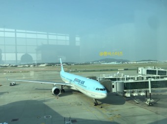 나라별 입국규제 필요서류 안내