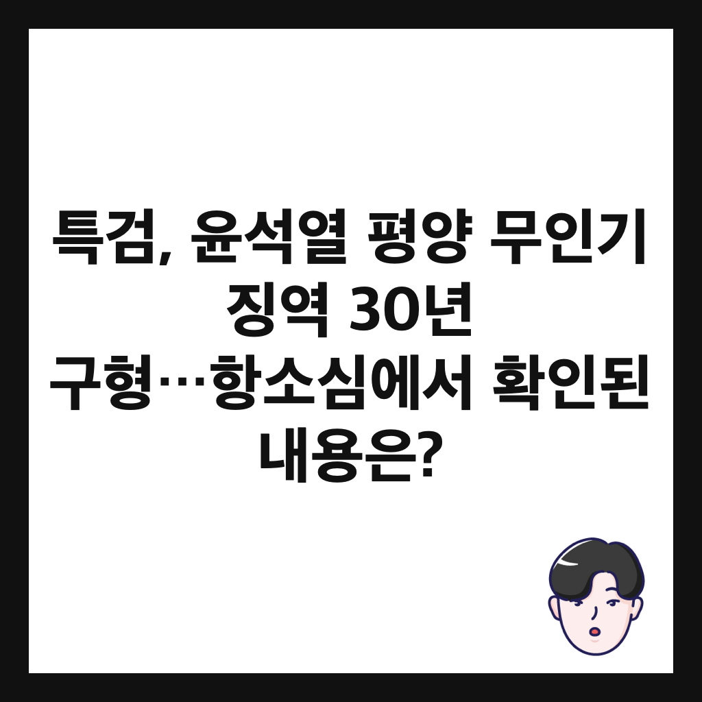 특검, 윤석열 평양 무인기 징역 30년 구형&hellip;항소심에서 확인된 내용은? 썸네일
