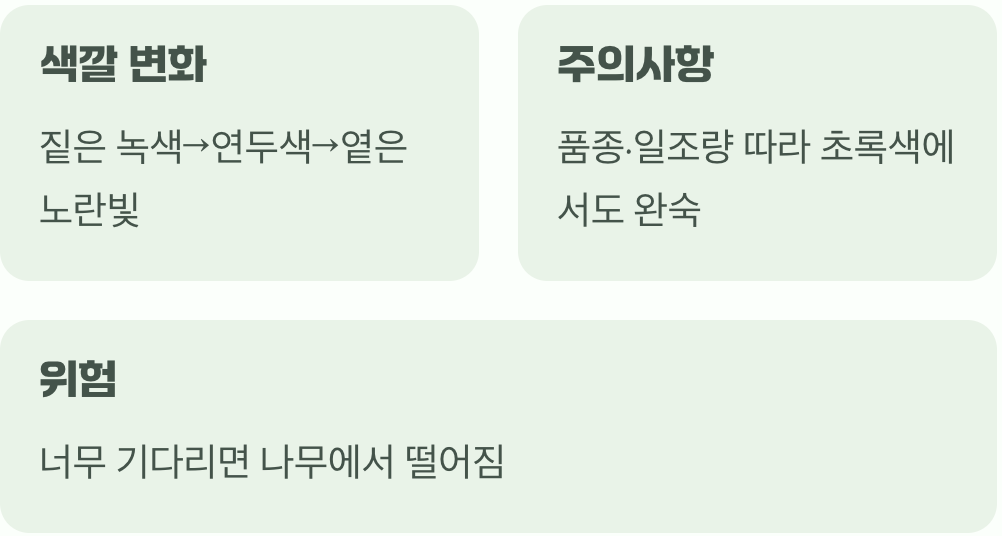 겉모습의 초록빛에 속지 마세요