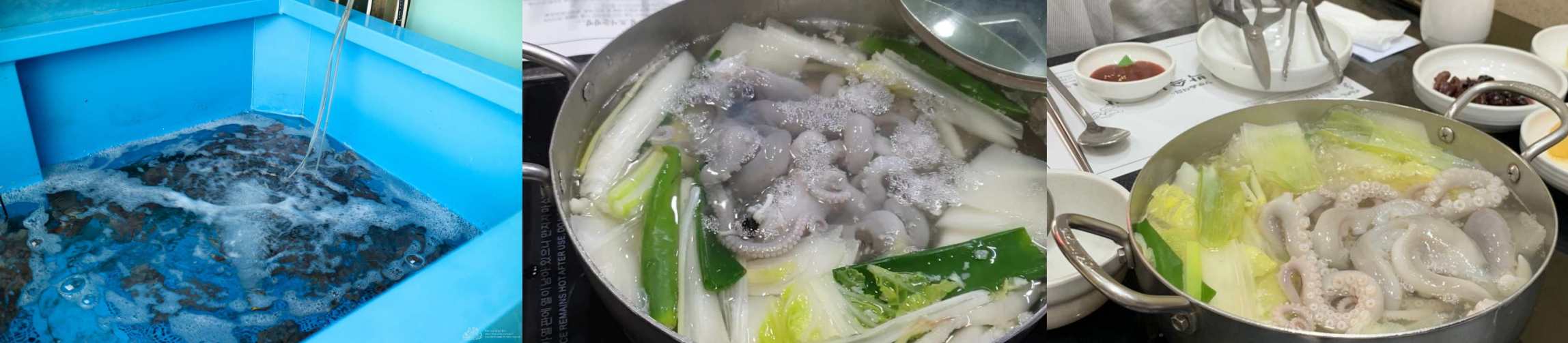 출처 : 박속낙지탕 업체 등록사진