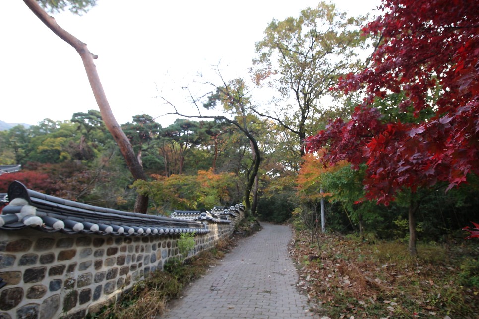 단풍명소