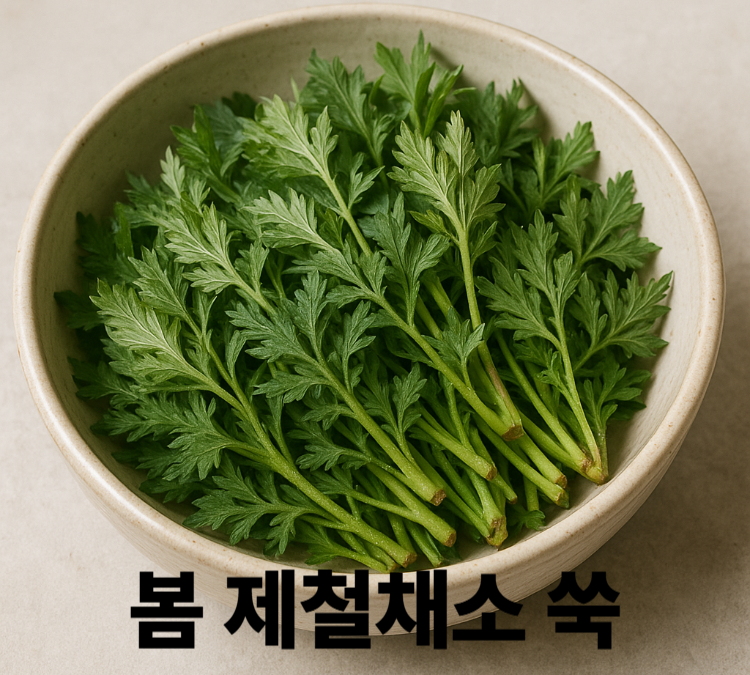 소화기능개선 냉장완화 스트레스완화 숙면도움 쑥 효능 영양성분 보관법