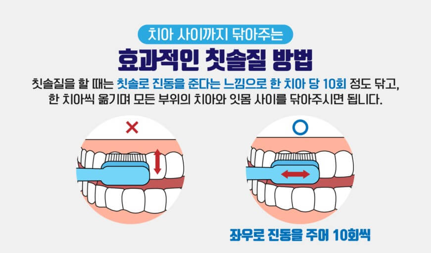 효과적인 칫솔질