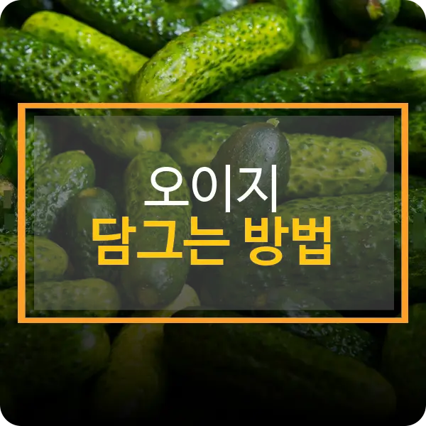 오이지 담그는 방법