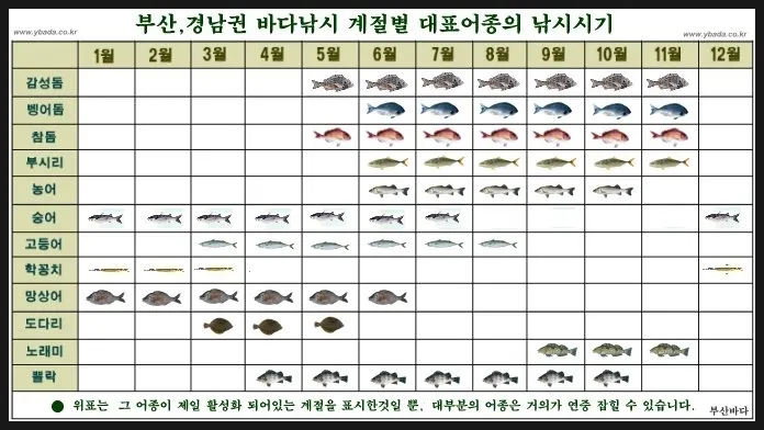 낚시 시즌 추천 겨울 빙어 얼음 구멍 낚시 준비 요령_2