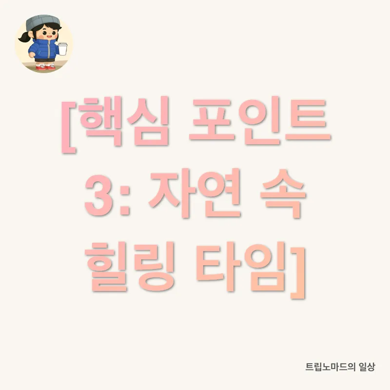 토퍼 선택_2_subsection