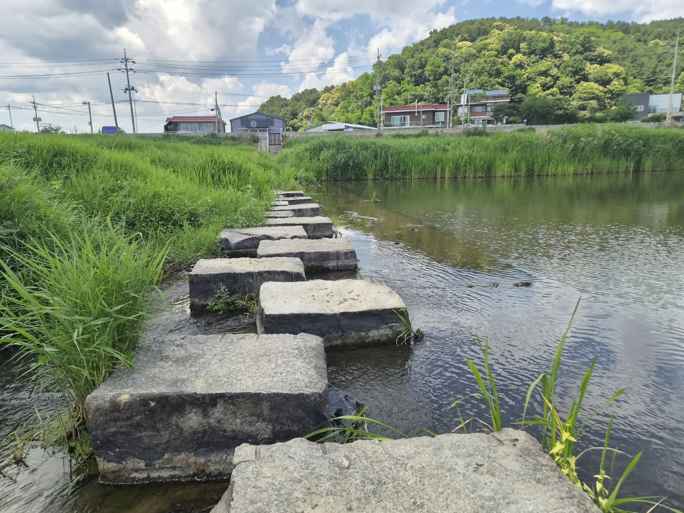 파주 문산천 자전거길, 갈대밭 따라간 산책길 11.6km 힐링 코스를 소개합니다.