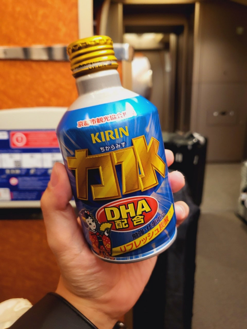 라피트,간사이공항,난바,급행,이동