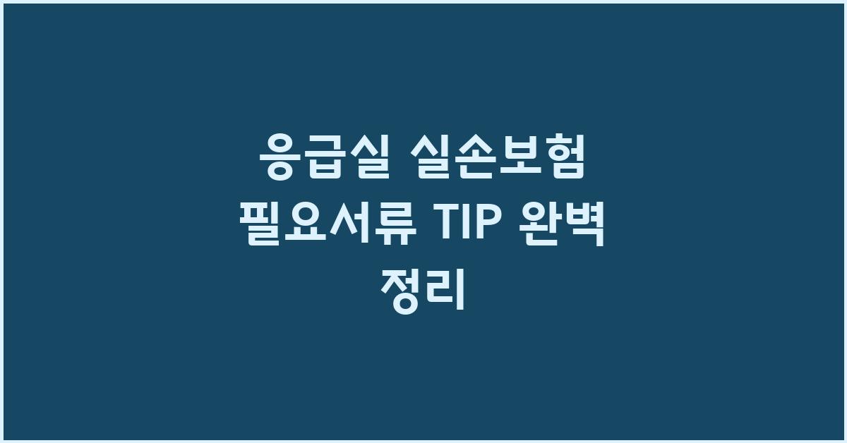 응급실 실손보험 필요서류 TIP