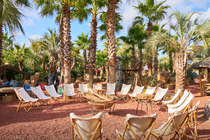 오늘n 동물카페 제주 어린왕자감귤밭