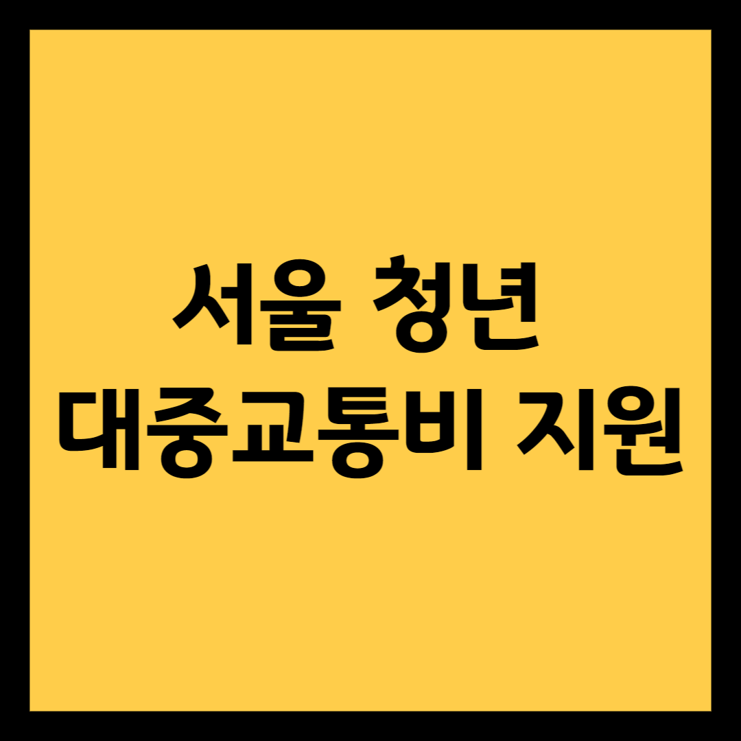 서울-청년-대중교통비-지원