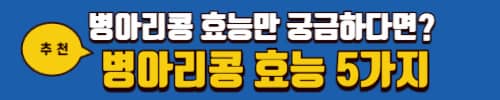 병아리콩