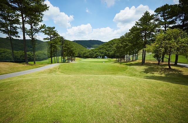 햇살이 좋은 골프장