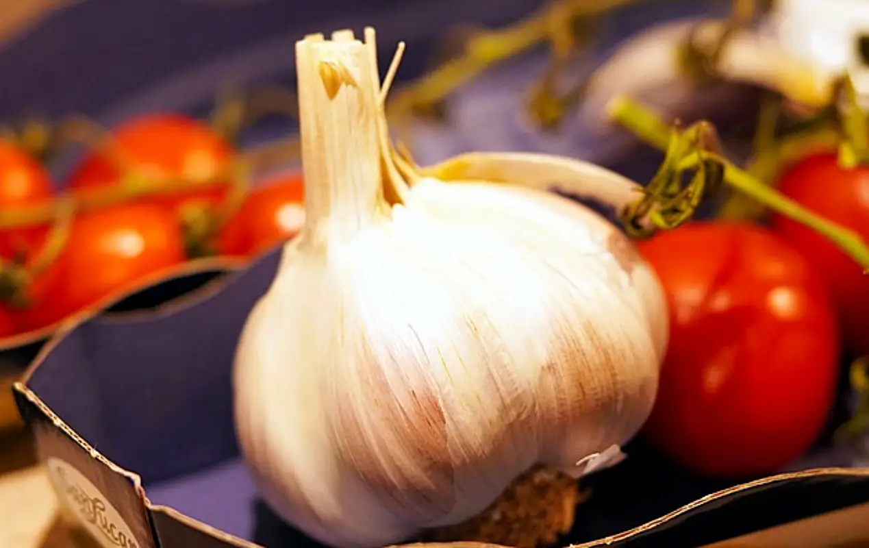 마늘장아찌 담그는법