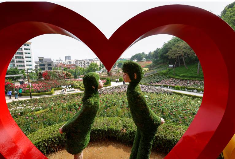 부천 백만송이 장미축제 2025