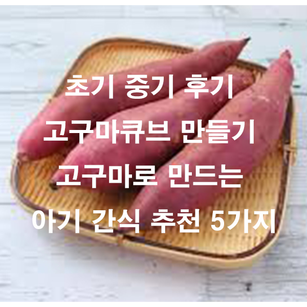 초기 중기 후기 고구마큐브 만들기 고구마로 만드는 아기 간식 추천 5가지