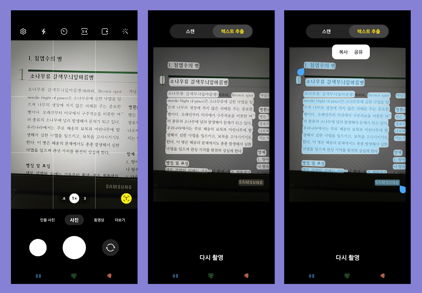 이미지추출