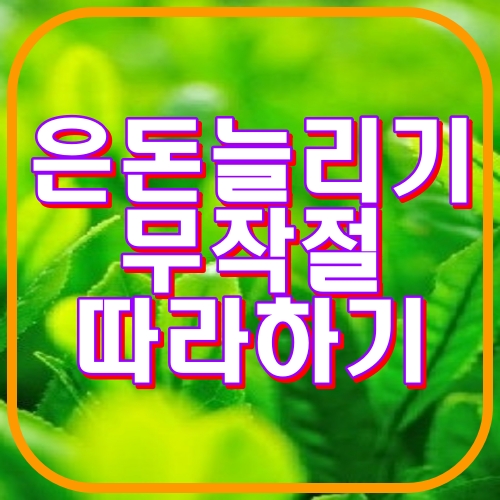 은돈 늘리기 무작정 따라하기