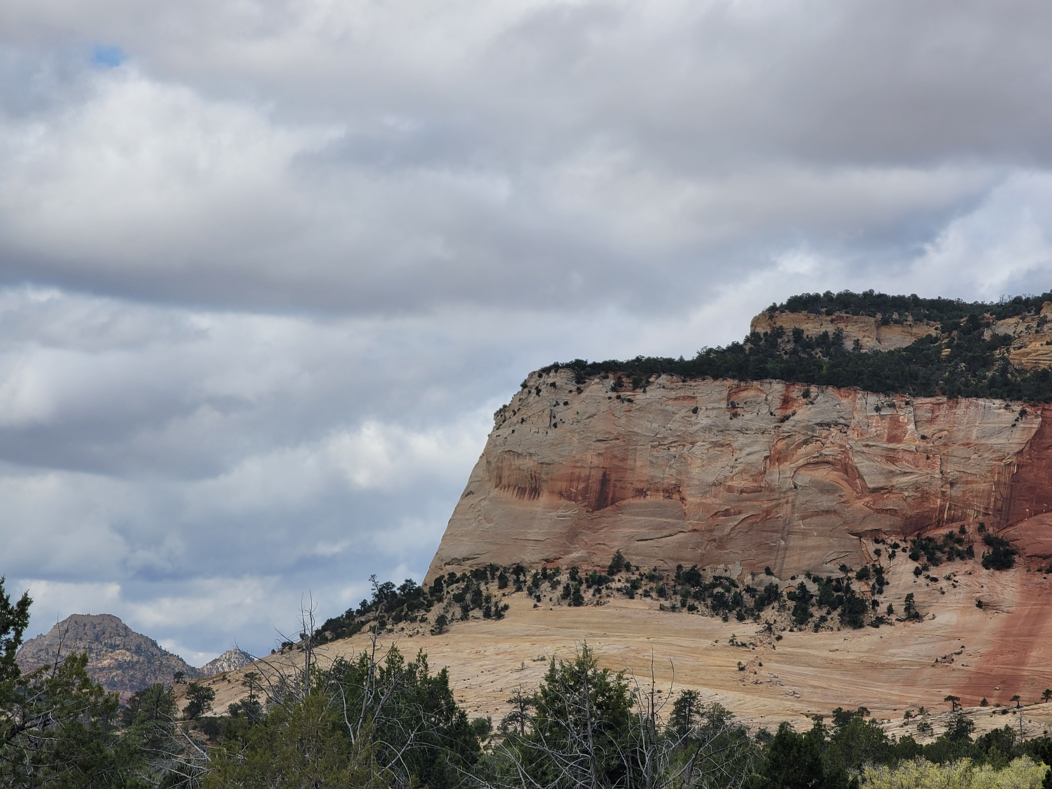 자이언캐년협곡