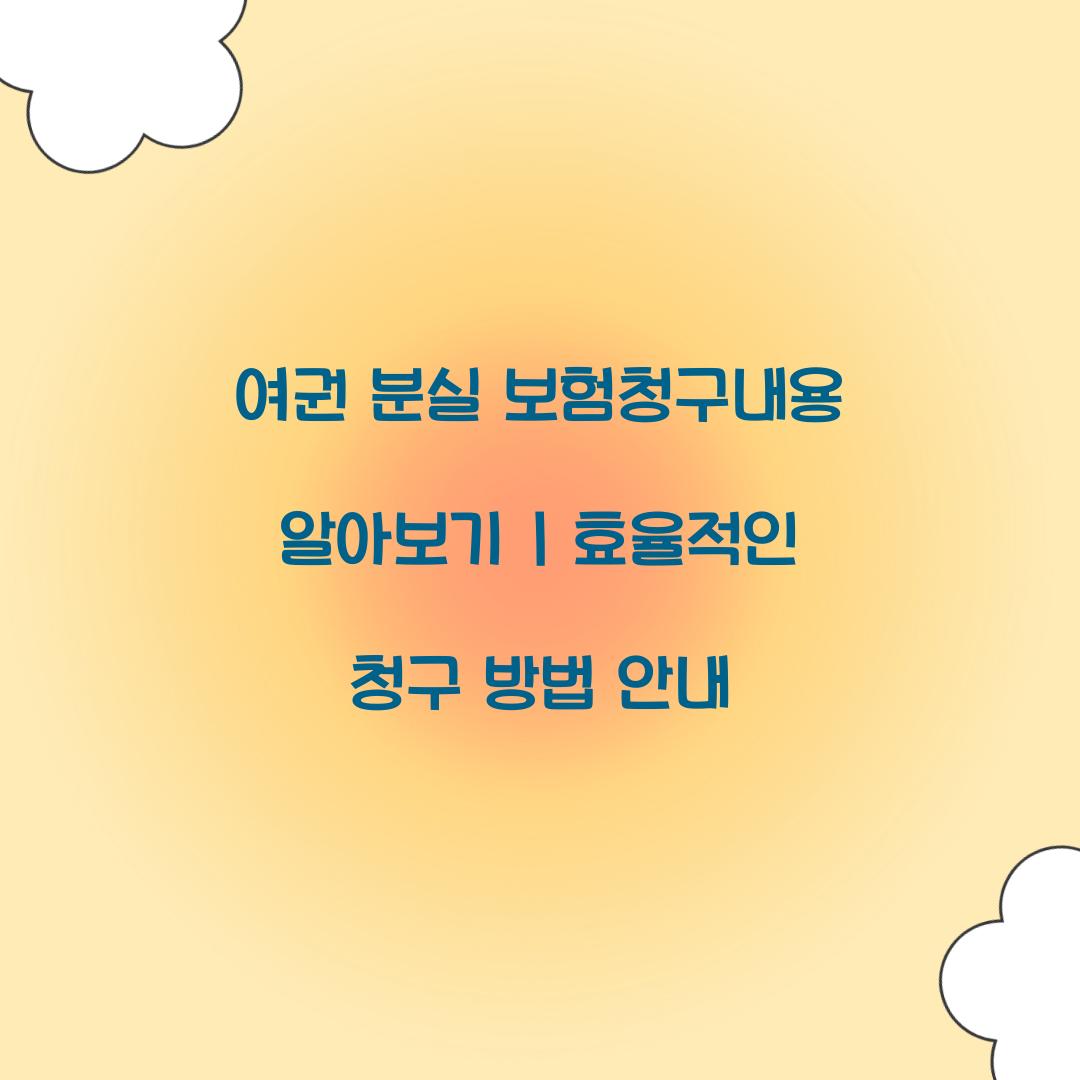 여권 분실 보험청구내용