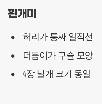 이름은 '개미', 정체는 '바퀴벌레 사촌'