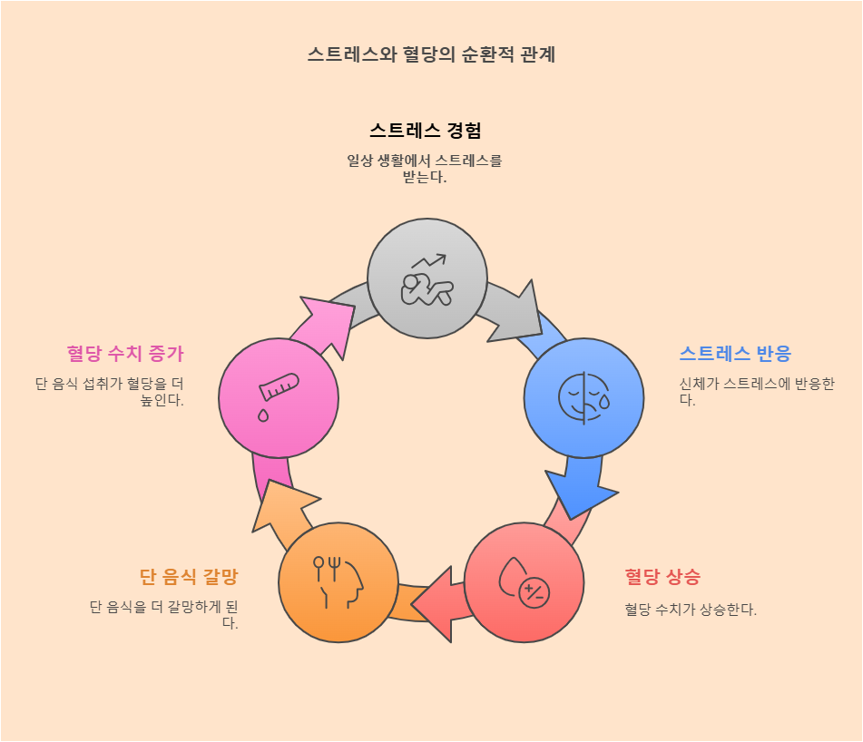 스트레스와 혈당의 순환적 관계 이미지