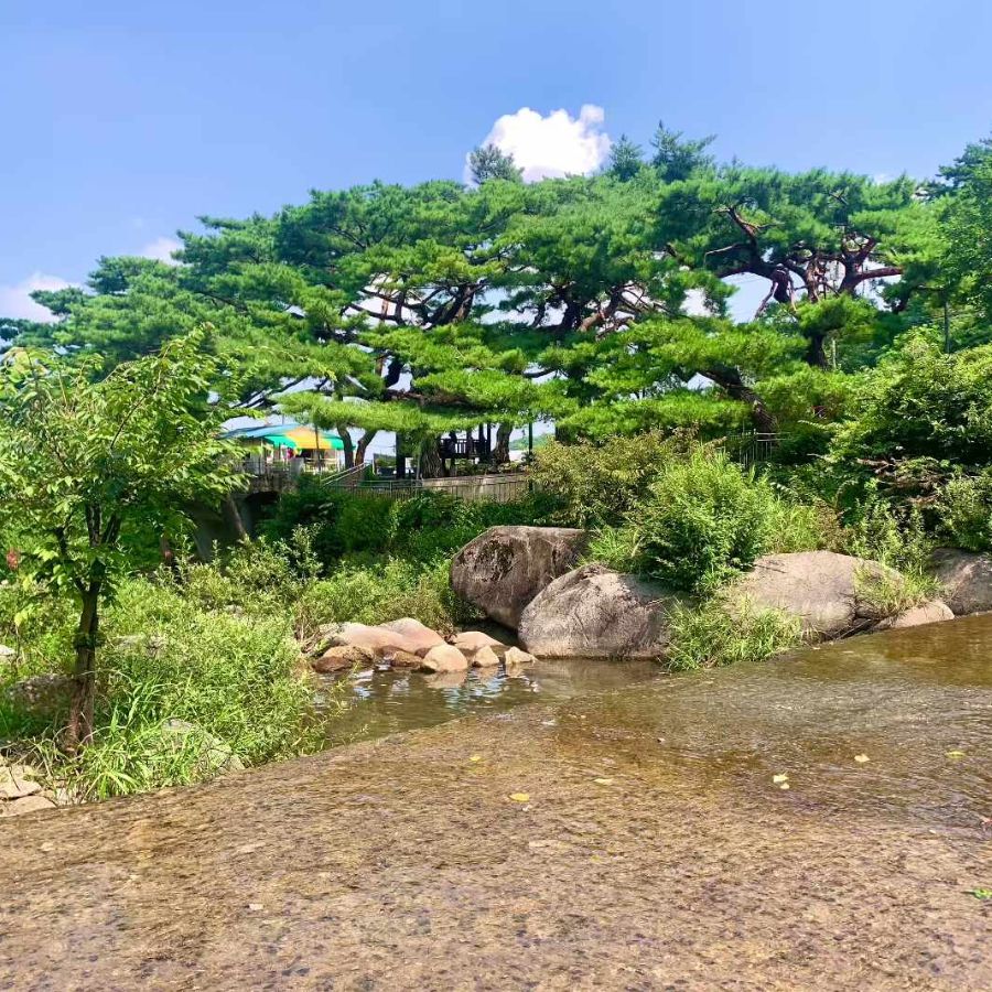용수골계곡
