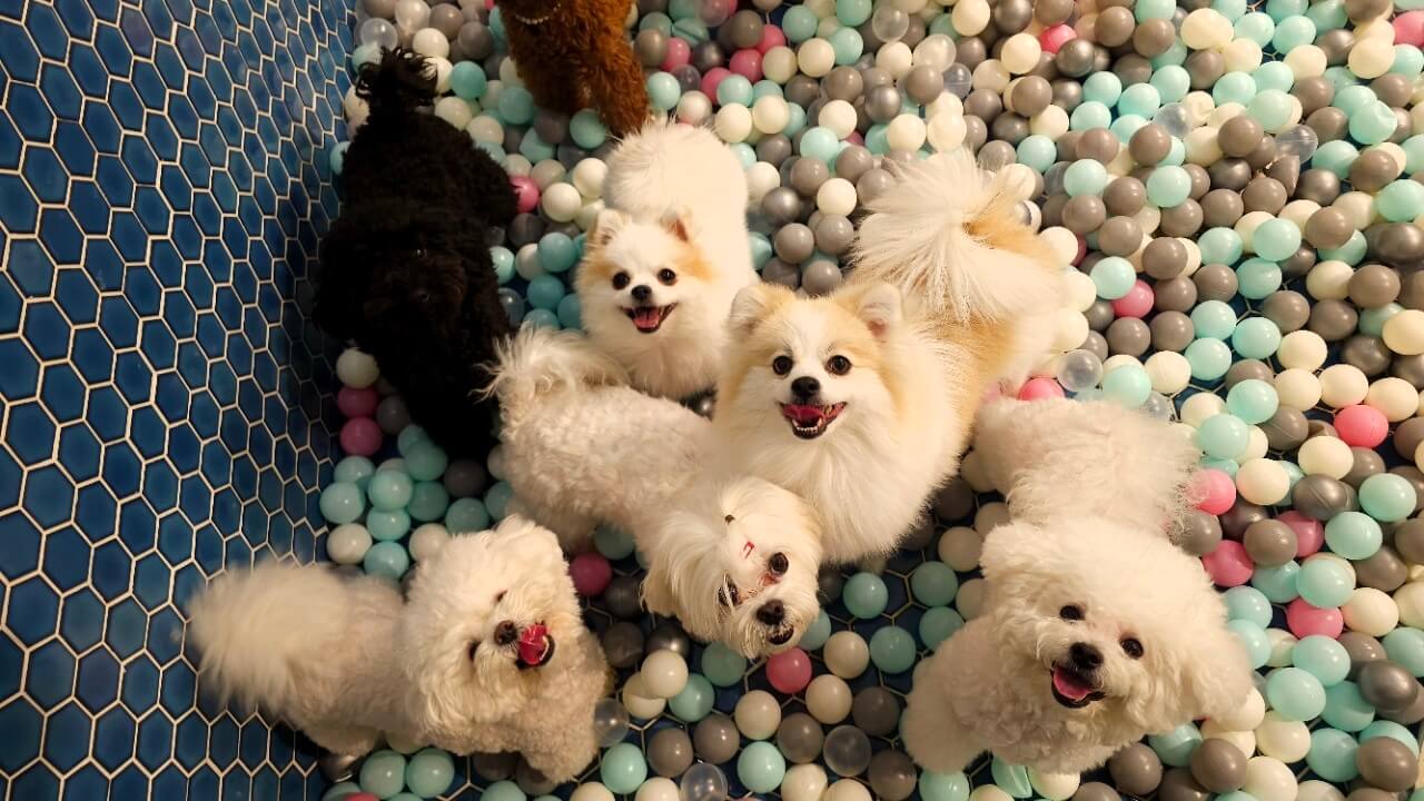 민생회복지원금 사용처