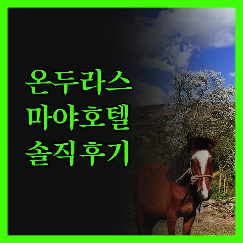 온두라스 마야 호텔 진실 후기! 그럼